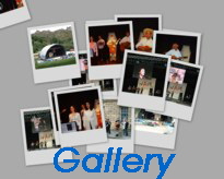 Fringe Gallery